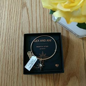 Alex and Ani North Star Bangle